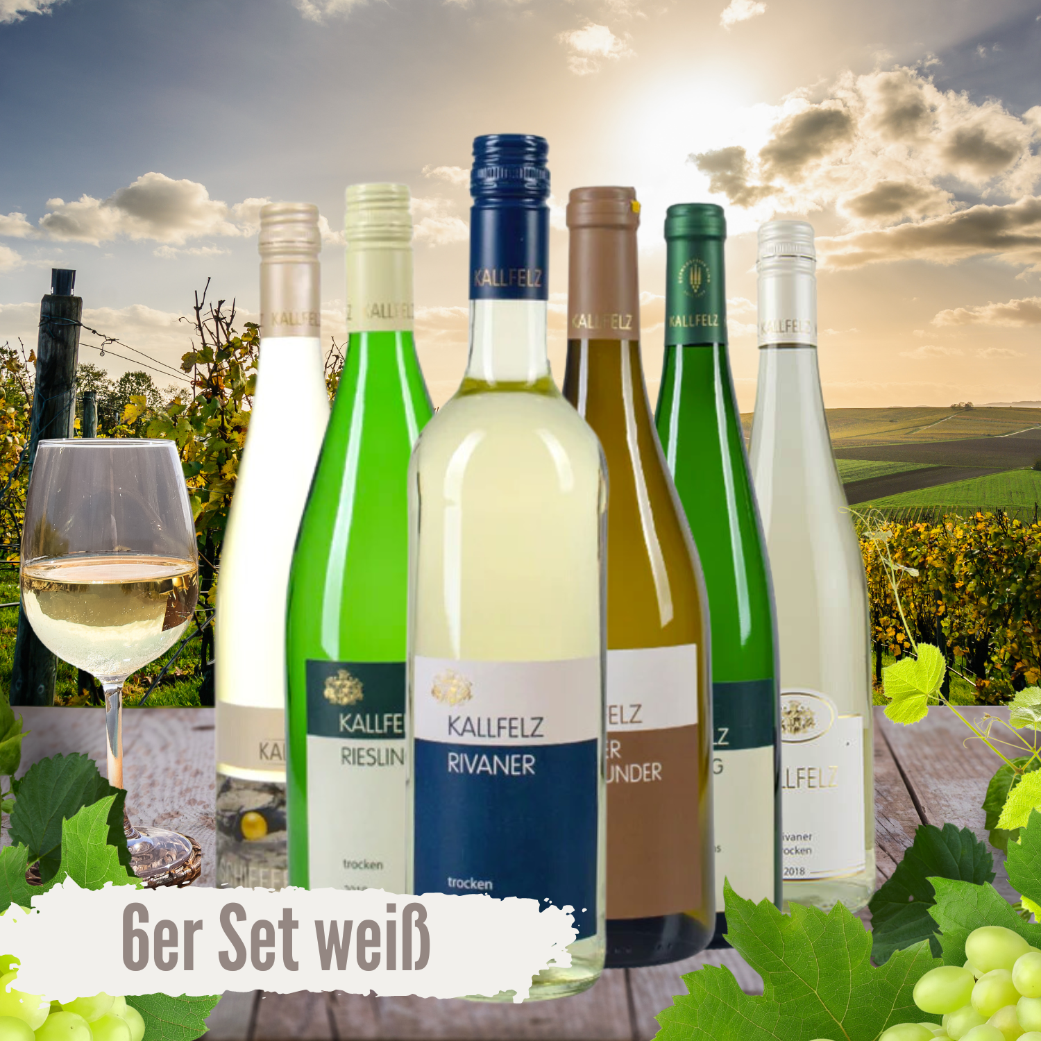 KALLFELZ Weinprobier-Paket Weißwein I 6 Flaschen